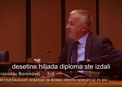 Branislav Borenović film