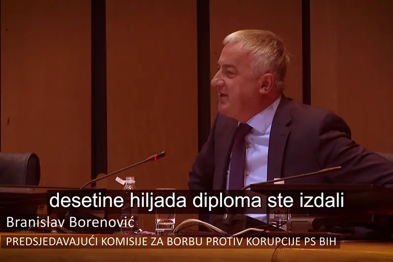 Branislav Borenović film